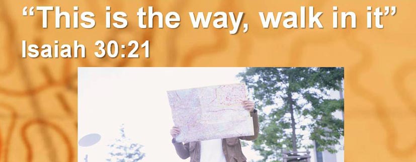 2014-06-01-This_is_the_Way_Walk_In_It